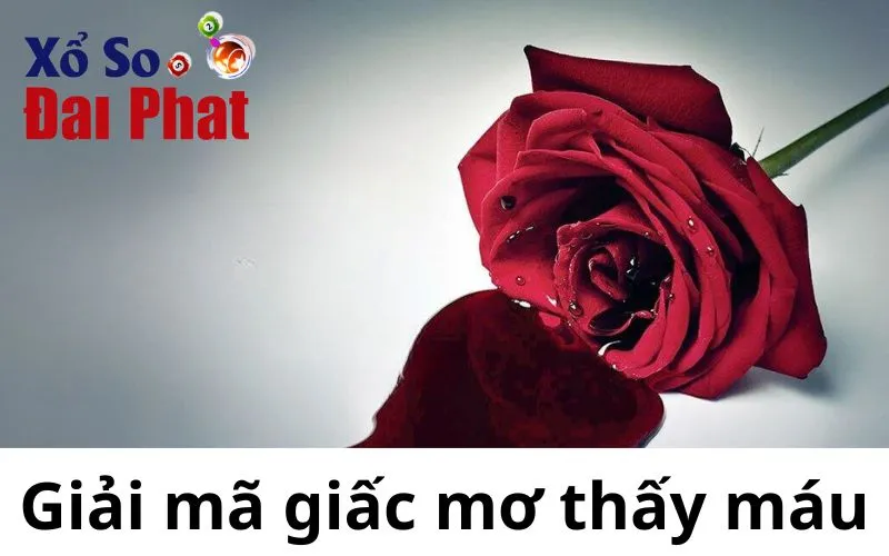 Giải mã giấc mơ thấy máu