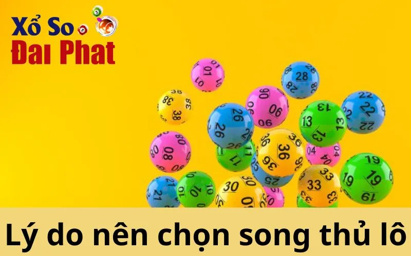 Lý do nên chọn song thủ lô